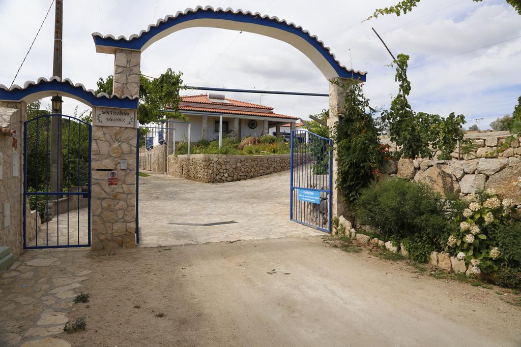 Gasthaus Quinta Ribeiro Tanquinhos Tancos Exterior foto