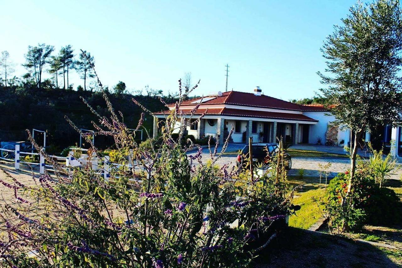 Gasthaus Quinta Ribeiro Tanquinhos Tancos Exterior foto